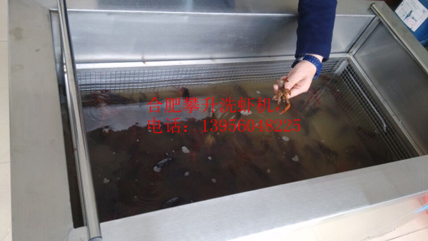 小龍蝦清洗機